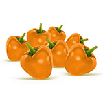 Портокалови пиперчиња