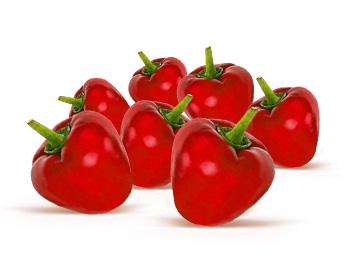 Gurmano - Македонски рецепт