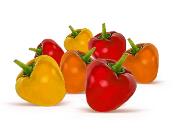 Gurmano - Македонски рецепт